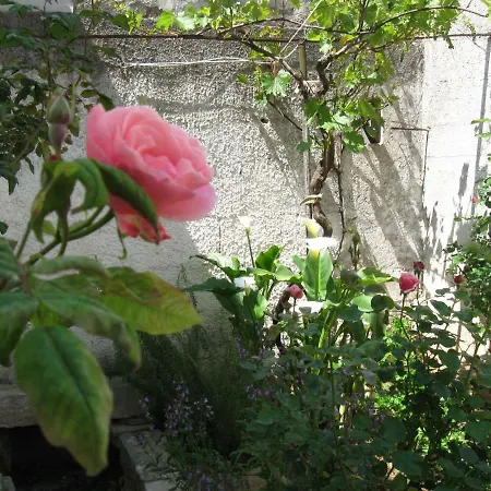 Trulli Garden * アルベロベッロ