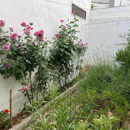 Trulli Garden Σπίτι διακοπών Αλμπερομπέλο